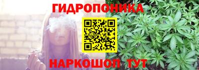 ПСИЛОЦИБИНОВЫЕ ГРИБЫ Кандалакша