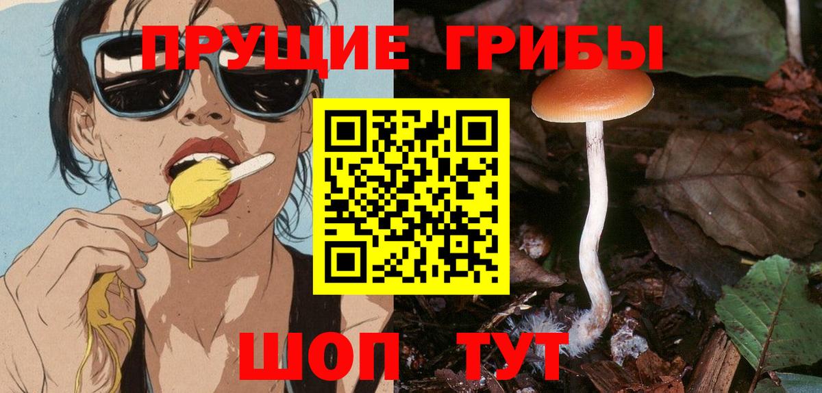 Псилоцибиновые грибы GOLDEN TEACHER Кузнецк
