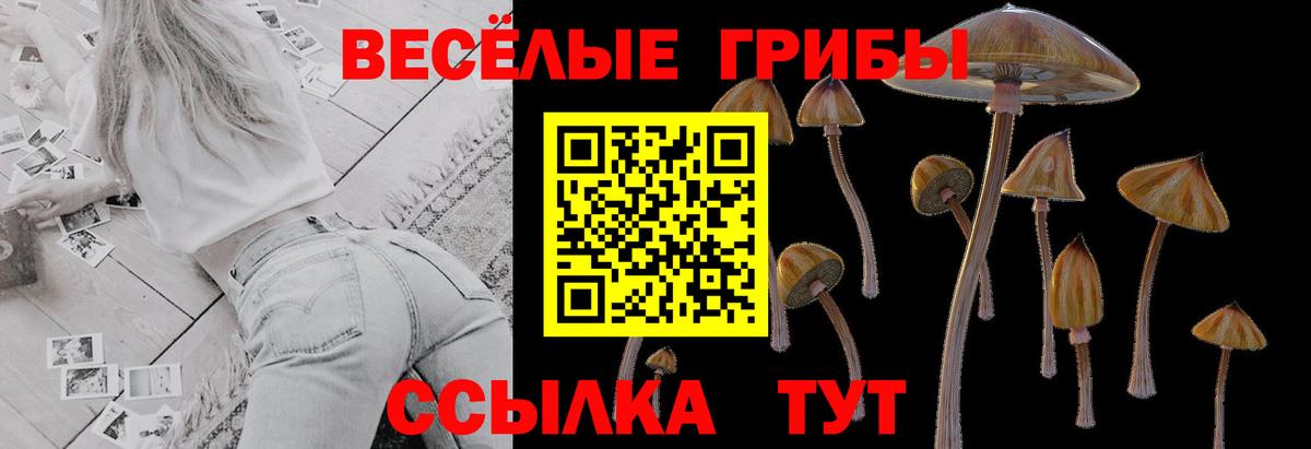 Галлюциногенные грибы ЛСД  Галлюциногенные грибы MAGIC MUSHROOMS  Кузнецк  Вход с VPN 